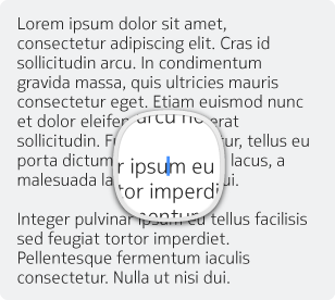 Magnifier