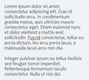 Misspelled word highlighted